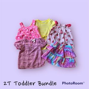 2T Baby Girl’s Cat & Jack, Carter’s, Granimals Dresses, Top & Skirt Bundle